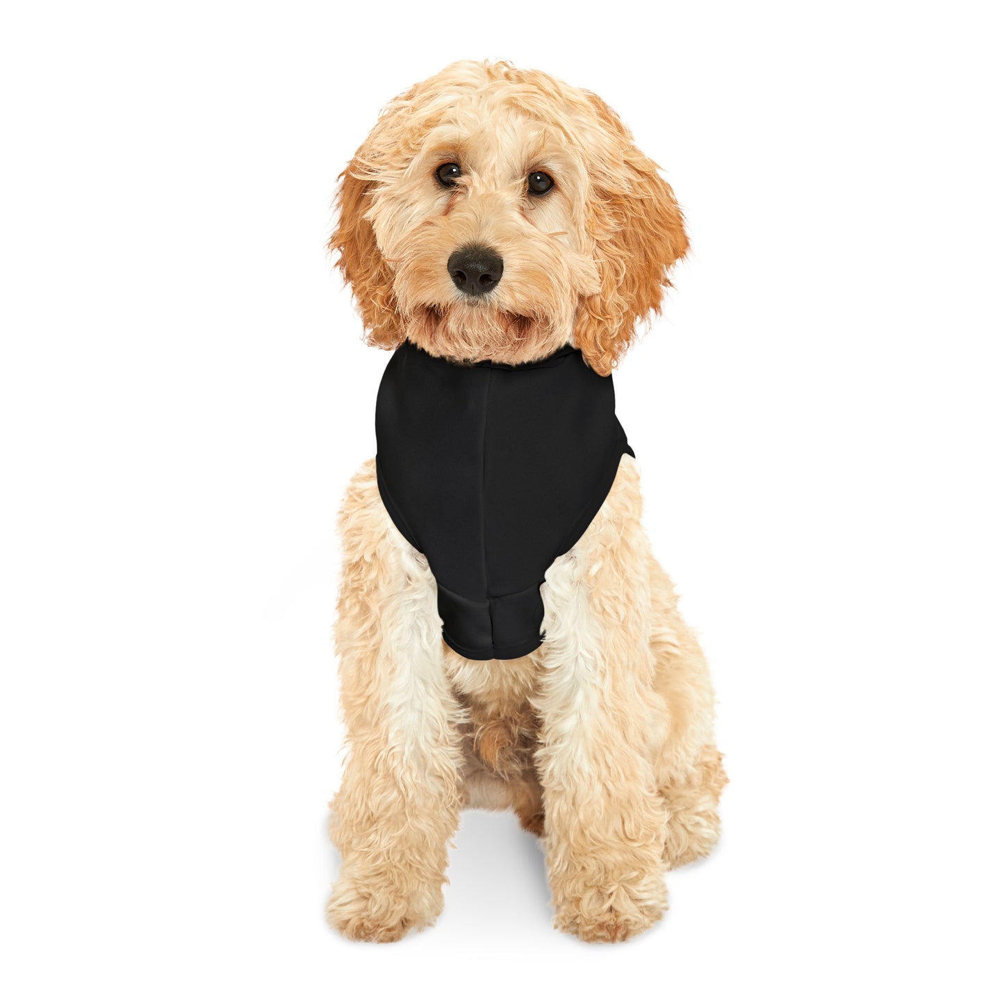 PET HOODIE - support your local tattooer