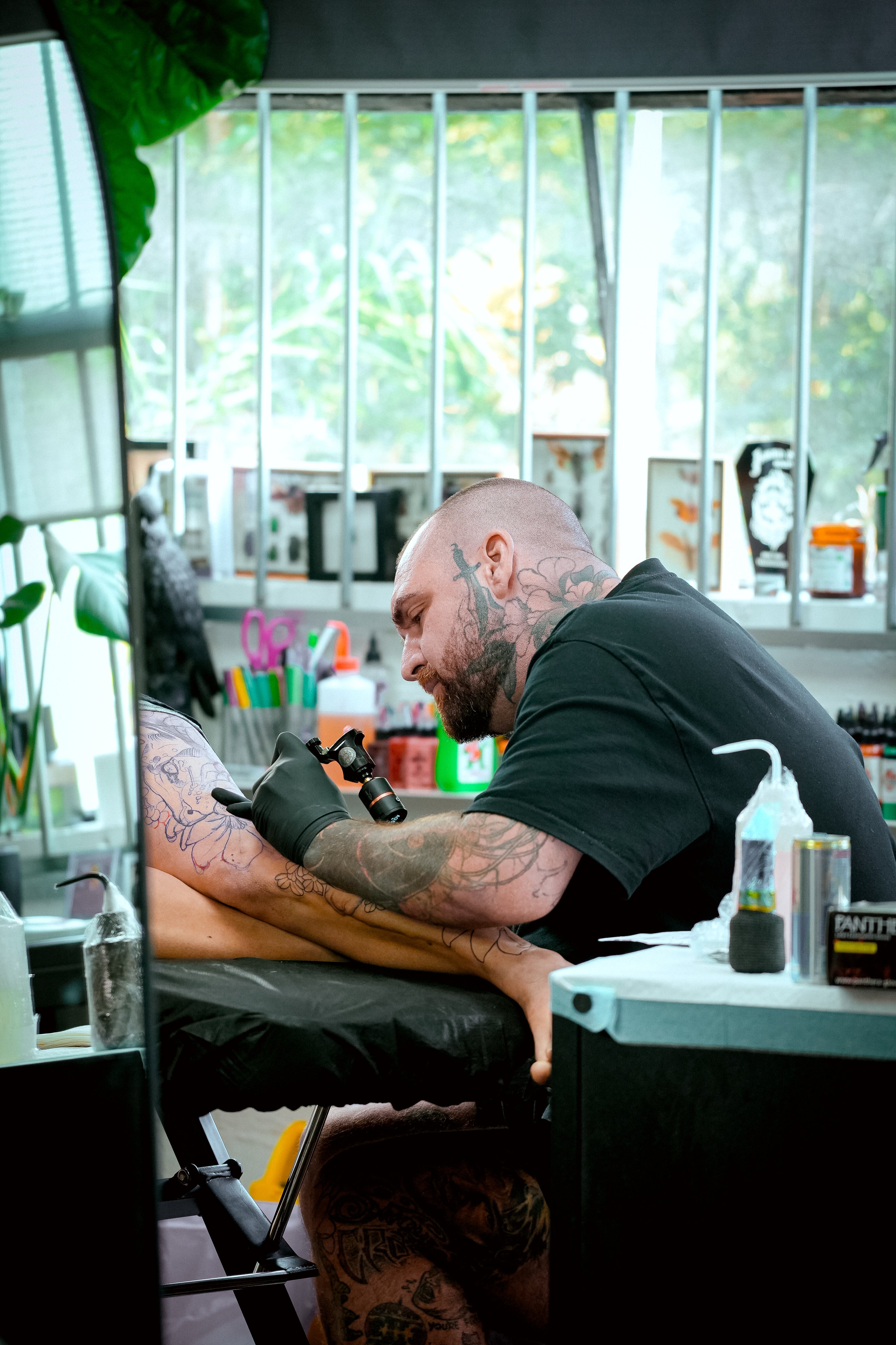 Tim Tavaria